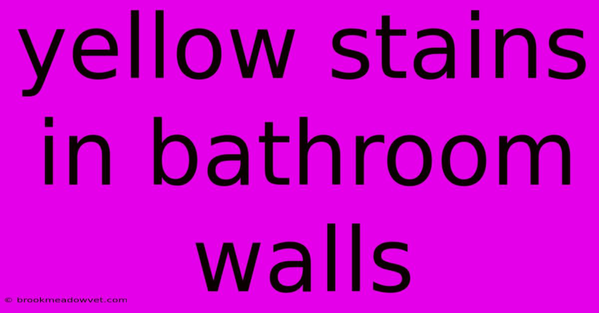 Yellow Stains In Bathroom Walls