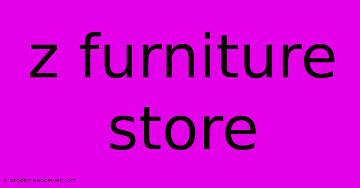 Z Furniture Store